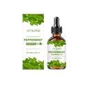 Dầu thiết yếu chăm sóc bạc hà Jaysuing cung cấp độ ẩm nhẹ nhàng và làm săn chắc da mặt, cơ thể, dầu massage làm ẩm và tươi mát