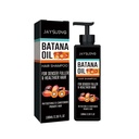 Dầu gội đầu Jaysuing Batana, chăm sóc làm sạch nhẹ nhàng cho da đầu, cung cấp độ ẩm đầy đủ cho tóc hàng ngày