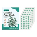 Miếng Dán Mụn Xanh Jaysuing Chăm Sóc Mụn In Hình Chăm Sóc Mặt Không Đều Hình Dán Mụn