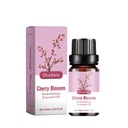 OceAura Dầu Massage Tinh Dầu Liệu Pháp Dầu Massage Làm Dịu Tại Nhà Văn Phòng Dành Cho Nữ Balm Dưỡng Ẩm