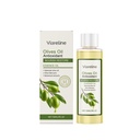 Tinh Chất Dưỡng Ẩm Dầu Olive Viareline - Làm Trẻ Hóa Da, Mịn Màng, Dịu Dàng và Cung Cấp Ẩm Sâu