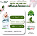 Mặt Nạ Dừa Bioceil VIBA, Bổ Sung Tảo Biển Đỏ Hỗ Trợ Sáng Da Mờ Đốm Nâu, Giảm Thâm Sau Mụn