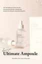Tinh Chất Cấp Ẩm Hỗ Trợ Cải Thiện Nếp Nhăn Và Tăng Đàn Hồi Cho Da Elravie Pro Ultimate Ampoule 50ml