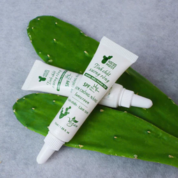 Kem chống nắng thiên nhiên Nocas Most chiết xuất từ Xương rồng thấm nhanh an toàn SPF 50+, PA+++ (10g)