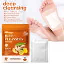 Miếng Dán Chân Gừng EELHOE, Cải Thiện Chất Lượng Giấc Ngủ và Giảm Căng Thẳng và Thư Giãn