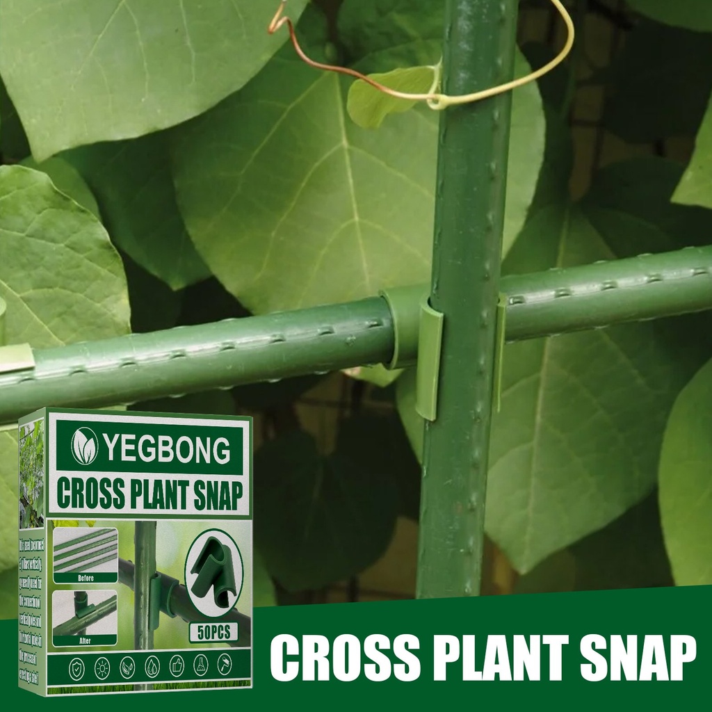 Kẹp chéo nhựa Yegbong, vòng đặc biệt cho cây là giá đỡ leo trèo cho hoa